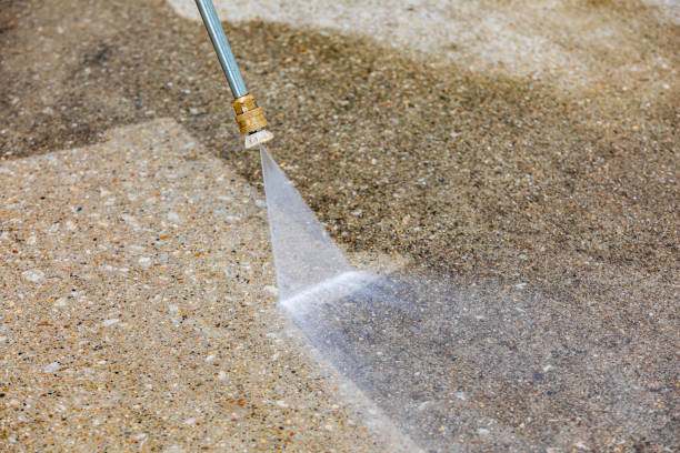 Boat and Dock Cleaning in Trenton, FL