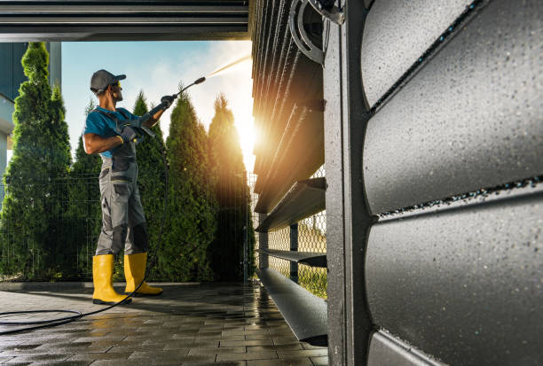 Best Gutter Cleaning  in Trenton, FL